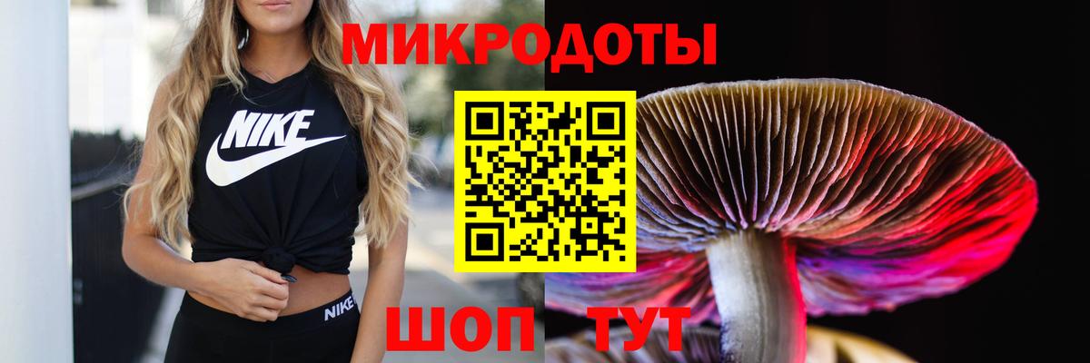 Бутурлиновка  Галлюциногенные грибы прущие грибы  Вход с VPN 